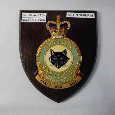 Squadron 441 Royal Canadian air force