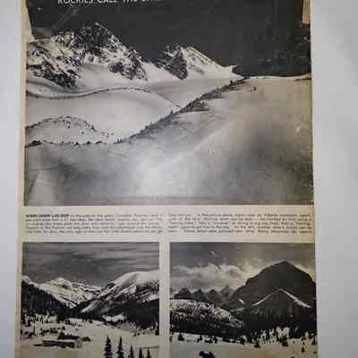 Back cover of magazine