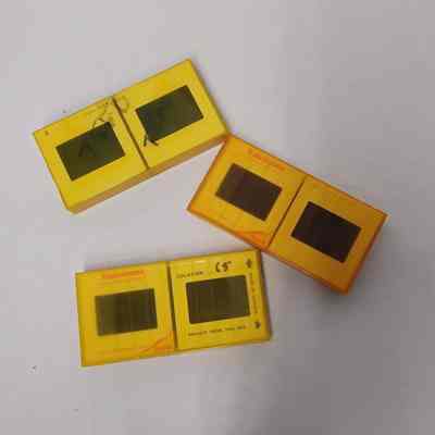 Cases of Photo Negatives (3)