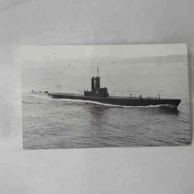 Front of D: Two identical copies