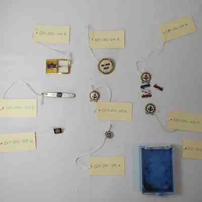 Box Of Assorted Pins (8)