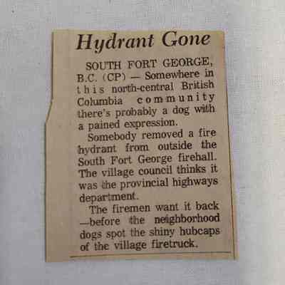 "Hydrant Gone" News Article