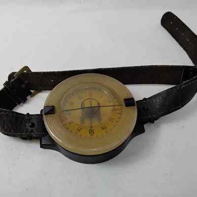 Wrist compass