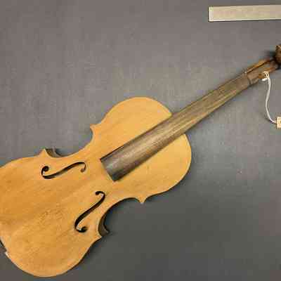 Violin
