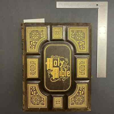 Cassell's Illustrated Bible: Containing The Old and New Testaments, with References, Numerous Critical and Explanatory Notes, and a Condensed Concordance.