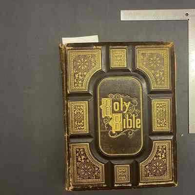 Cassell's Illustrated Bible: Containing The Old and New Testaments, with References, Numerous Critical and Explanatory Notes, and a Condensed Concordance.