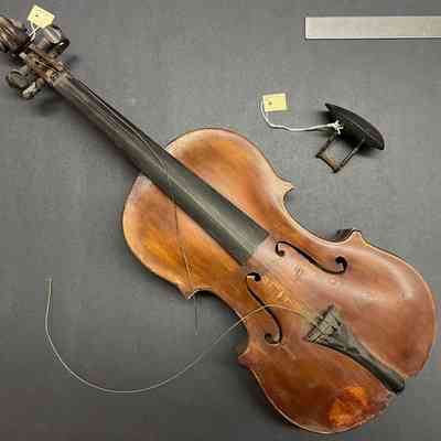 Violin