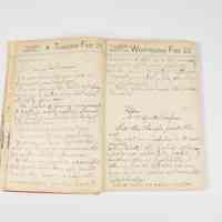          Lewis H. Latimer’s 1911 Log Book – 'It is to Print' Essays picture number 16
   