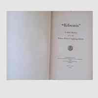          Edisonia: A Brief History of the Edison Electric Lighting System picture number 3
   