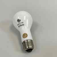          Thomas Edison Birthday Memorabilia picture number 10
   