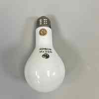          Thomas Edison Birthday Memorabilia picture number 11
   