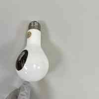          Thomas Edison Birthday Memorabilia picture number 13
   