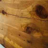          Chest picture number 8
   