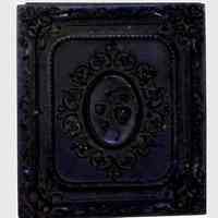          Daguerreotype, (1 box, ca. 1890) picture number 2
   
