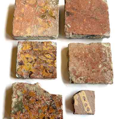 Mid14th Century tiles from Waterperry Church