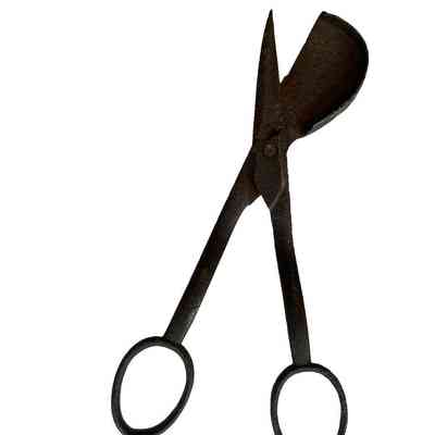 Wick trimmer (2)