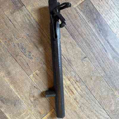 Anti Poacher Gun