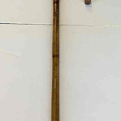 Measuring stick for horses