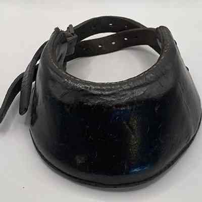 Horse training shoe