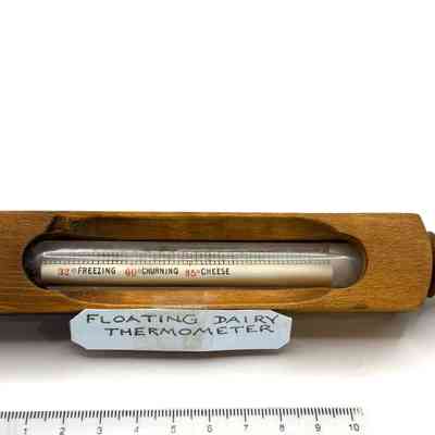 Floating Dairy Thermometer