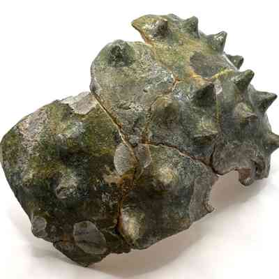 Local pottery found in Waterperry Gardens