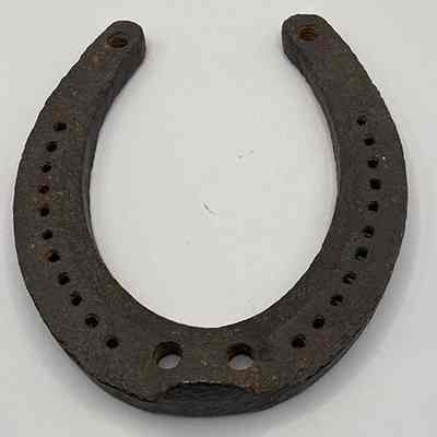 Iron horseshoe