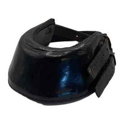 Horse training shoe