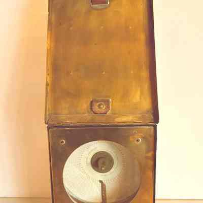 Pigeon Racing Timer/Clock