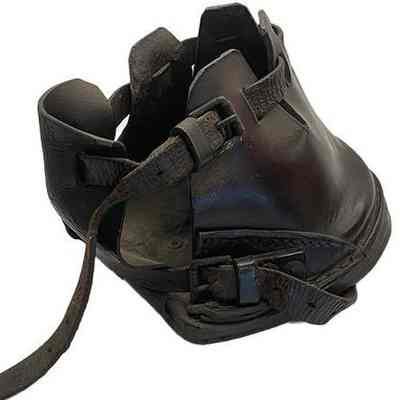 Back of covering shoe