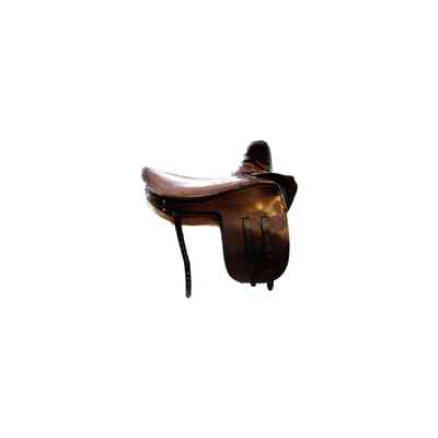 Side Saddle showing, outside girthing
