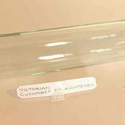 Victorian Cucumber Straightener