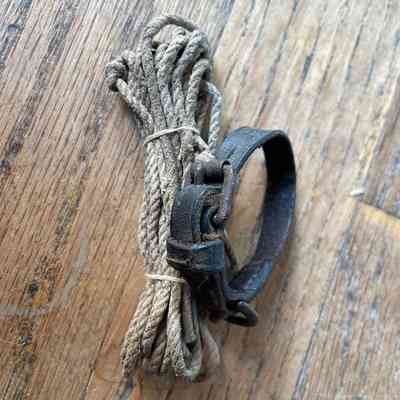 Ferret line and collar showing cuckle