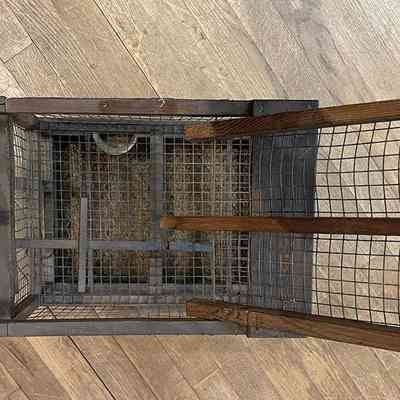 Call bird trap looking in from the top