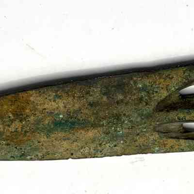 Bronze Lancehead