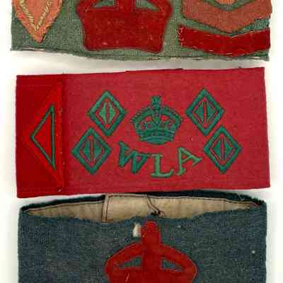 WLA Arm Bands