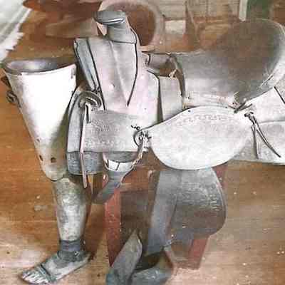 Saddle and Prosthetic Legs