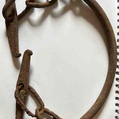Wrought Iron Harness