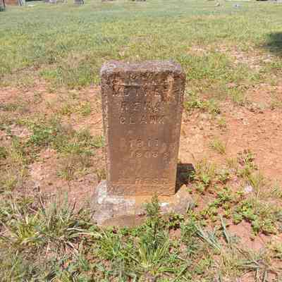 Emeline's Mother Rena 1811-1903