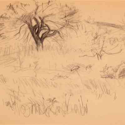 Untitled (Study of Field with Trees)
