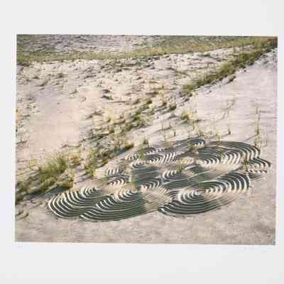 Zen Dune Garden #2 Provincetown (artSTRAND Portfolio 2006)