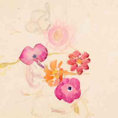 Recto: Untitled (Various Flower Blossoms); Verso: Untitled (Various Flower Blossoms)