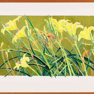 Daylillies 2