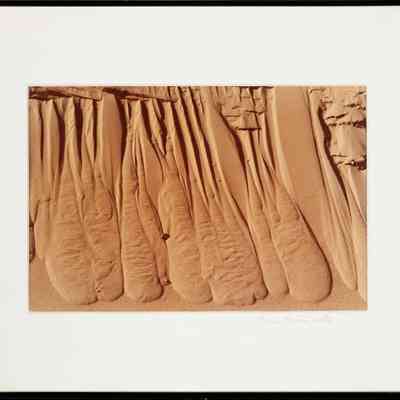 Back Shore Dune in Winter