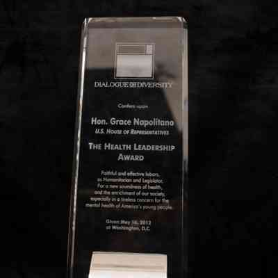 Glass Award Statue, Dialogue on Diversity