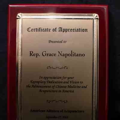Wooden Plaque, American Alliance of Acupuncture