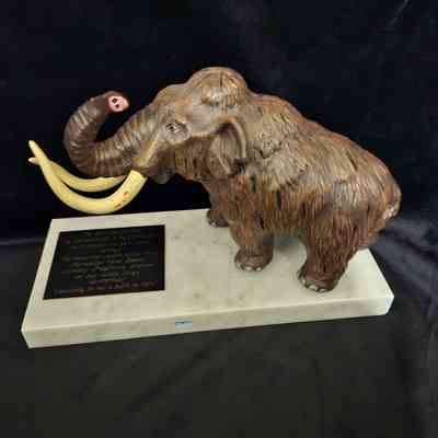 The Western Center for Archeology & Paleontology at Diamond Valley Lake Award