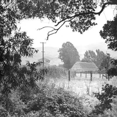 Taken in the 1950s shows the Faria House (left) and the barn on the former Tennent ranch.
