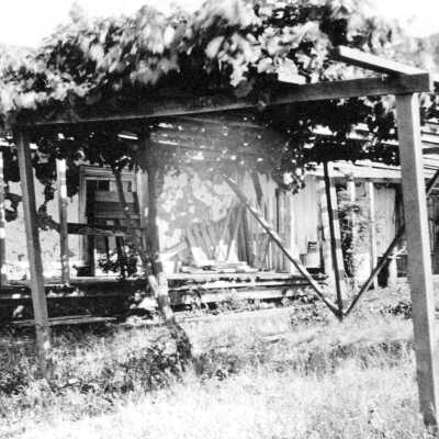 Grape Arbor, Martinez Adobe Ruins, 1911 Grape Arbor, Martinez Adobe Ruins, 1911 (Vincent)
