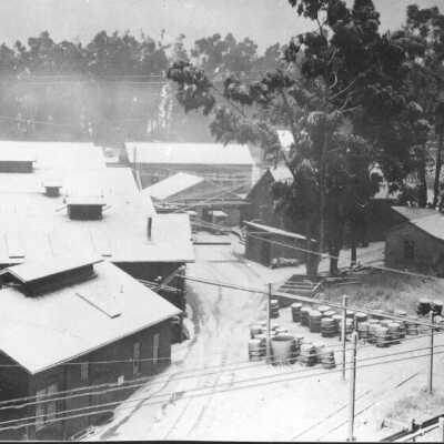 the snow - 1-29-22
