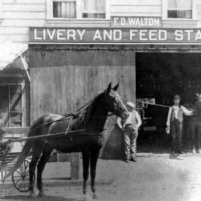 F.D. Walton Livery:horse & buggy (Castro): Walton Livery had a thriving business into the 20th century.